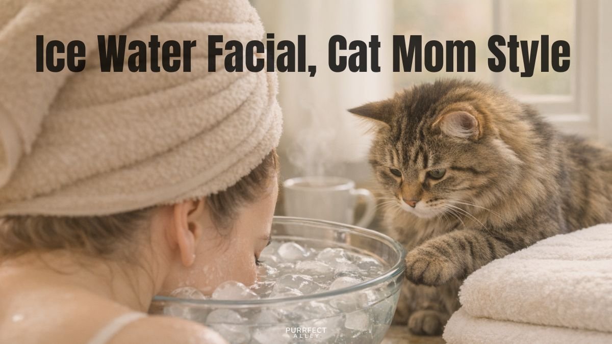 Ice Water Facial, Cat Mom Style: My Gentle 7-Day Reset