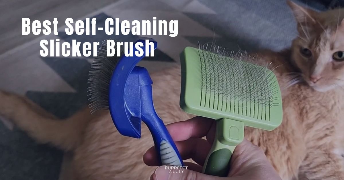 Best Self-Cleaning Slicker Brush for Cats
