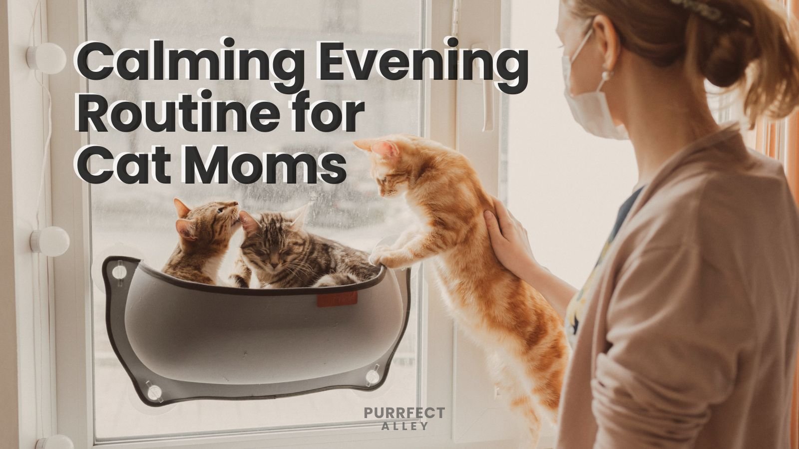 How to Create a Calming Evening Routine as a Busy Cat Mom