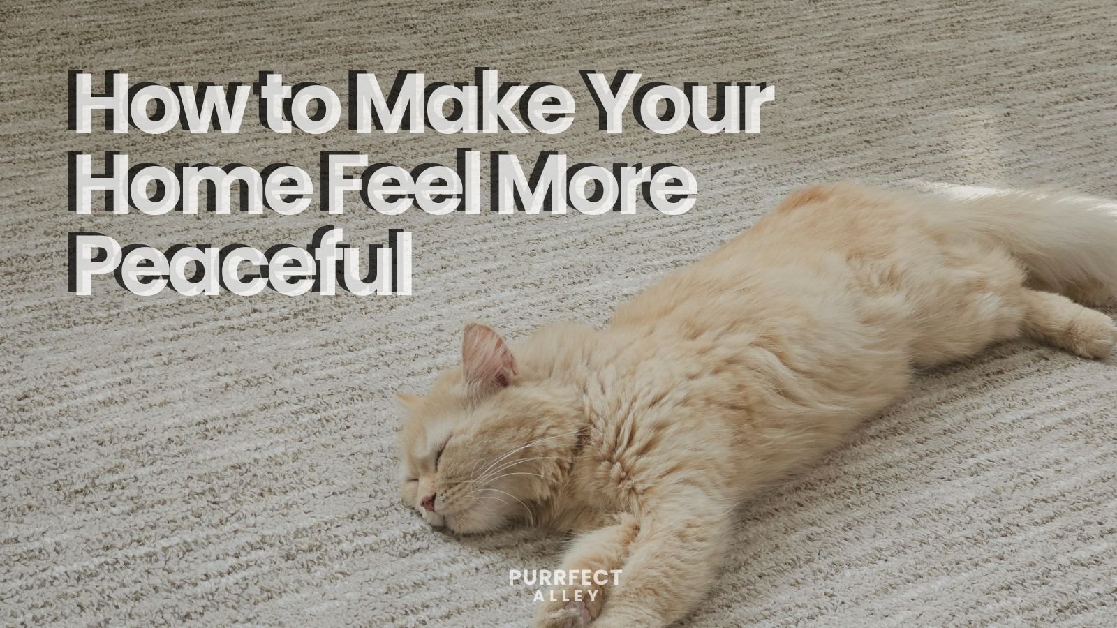 How to Make Your Home Feel More Peaceful When You’re an Overstimulated Cat Mom