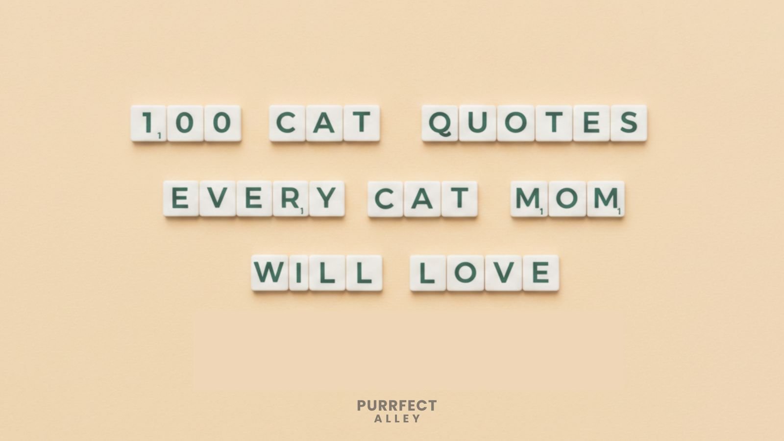 100 Cat Quotes Every Cat Mom Will Love