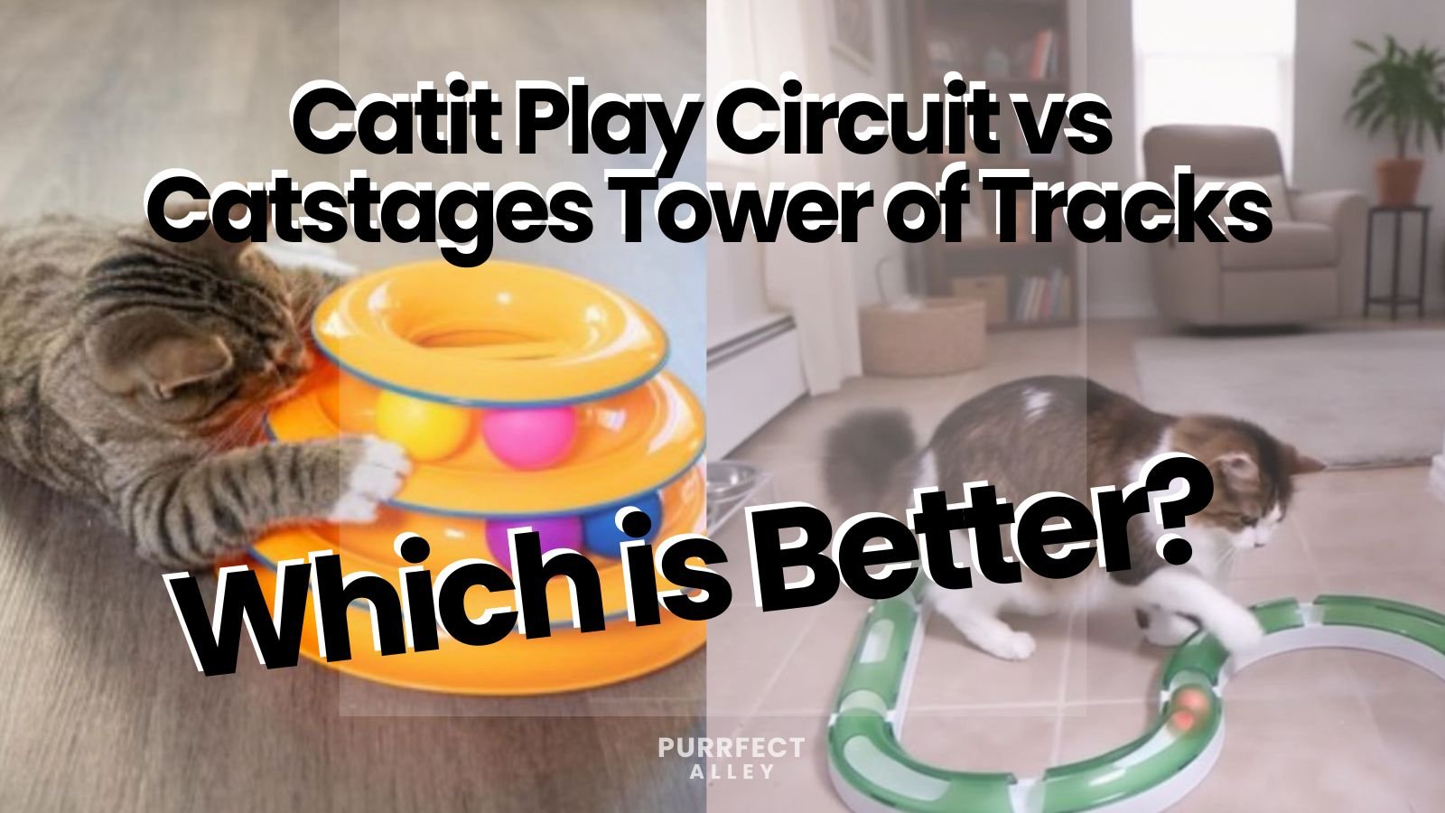Catit Play Circuit vs Catstages Tower of Tracks: Which Cat Toy Is Better for Indoor Cats?